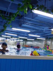 -子木乐园婴儿游泳馆(水晶港店)