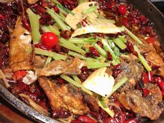 -老板恋上鱼(印象城店)