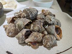 姜汁小海螺-船歌·鱼水饺青岛菜(金狮广场店)
