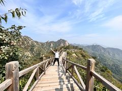 -大岭沟猕猴桃谷风景区