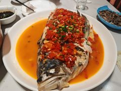 -全乐鱼馆·淳牌有机鱼直营店