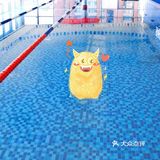 这个夏天学会游泳