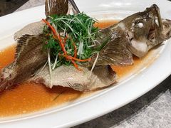 清蒸青石斑-悦秀·高级粤菜