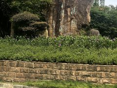 -苏州河梦清园环保主题公园