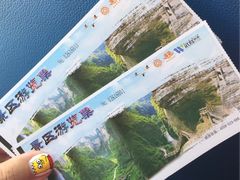 -重庆武隆天生三桥风景区-神鹰天坑