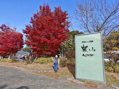 -岚山嵯峨野观光小火车