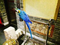 那家小馆(中关村店)-那家小馆•北京菜•烤鸭(中关村店)