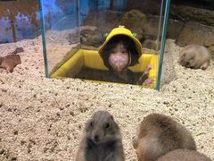-Mr·Kuma酷么先生雪之乐园