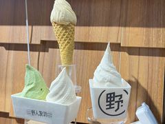 -野人先生现做冰淇淋(北京顺义祥云小镇店)