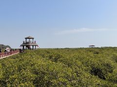 -北海金海湾红树林生态旅游区