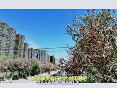 -海棠花溪(元大都城垣遗址公园)