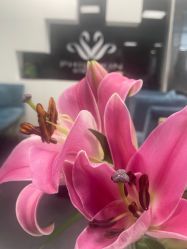 -斐尔国际皮肤管理中心