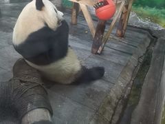 -无锡动物园·太湖欢乐园