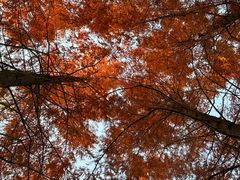 -白鹭湾湿地公园