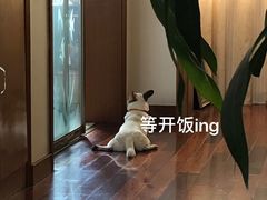 -很久以前羊肉串(昌里路三钢里店)