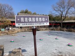 -青州古城