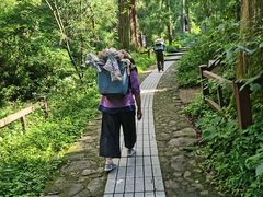 -东天目山风景区