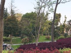 -浙江省杭州高级中学(贡院校区)