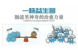 -安吉拉青春化管理中心