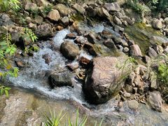 -广州白江湖森林公园