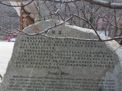 -抱犊崮国家森林公园