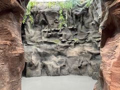 -陕西自然博物馆