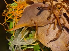 -胡麻(静安嘉里店)