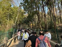 -灵岩山风景区