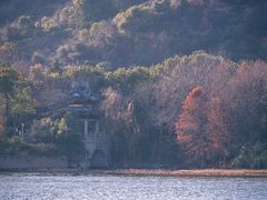 -长广溪湿地公园