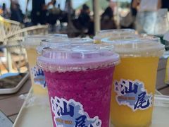 -汕尾风车岛
