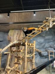 -Zoolung Zoolung动物主题公园(海信广场店)