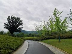 -雅达·阳羡溪山小镇中心