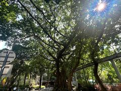 -星巴克(深圳侨城街店)