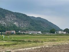 -长沙黑麋峰国家森林公园