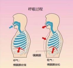 -归位瑜伽＆普拉提馆