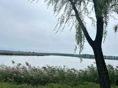 -野鸭湖国家湿地公园