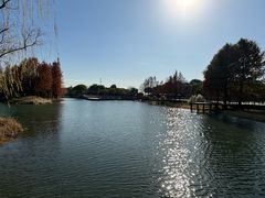 -贡湖湾湿地公园