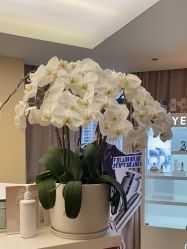 点击看大图 -Yestar宁波艺星整形医院