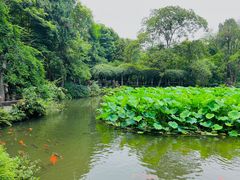 -成都杜甫草堂博物馆