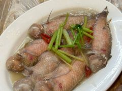 -金砂阿洲鱼册店