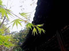 -汇龙潭
