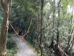 -七仙岭温泉国家森林公园