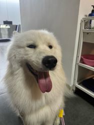 -BM造型·烫染专业店