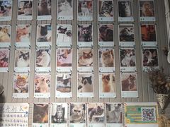 -平行世界·猫咖(首经贸店)