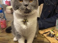 -小时光咖啡馆(开森度假森林店)
