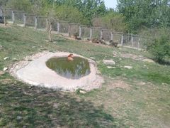 -西安秦岭野生动物园