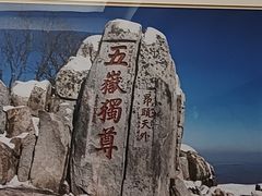 -泰安东尊华美达广场酒店(泰山景区店)