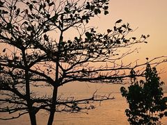 -深圳湾公园(南山区)