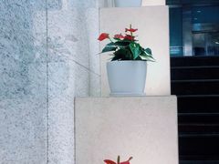 门口一角-汤泉良子.足疗按摩.SPA(中关村店)
