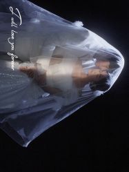 -北遇映画PHOTO GRAPHY STUDIO